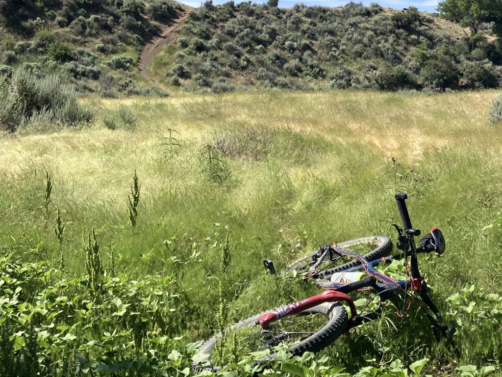 Ride photos: A MidSummer’s Update&nbsp;2025