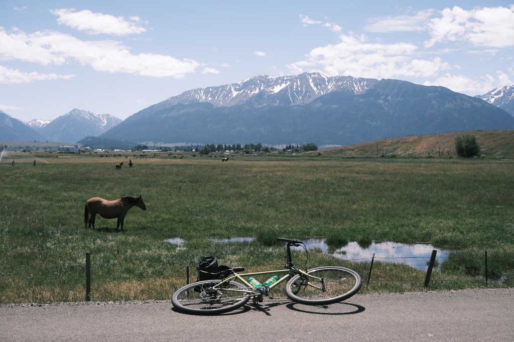 Life and Bikes: Summer&nbsp;2026